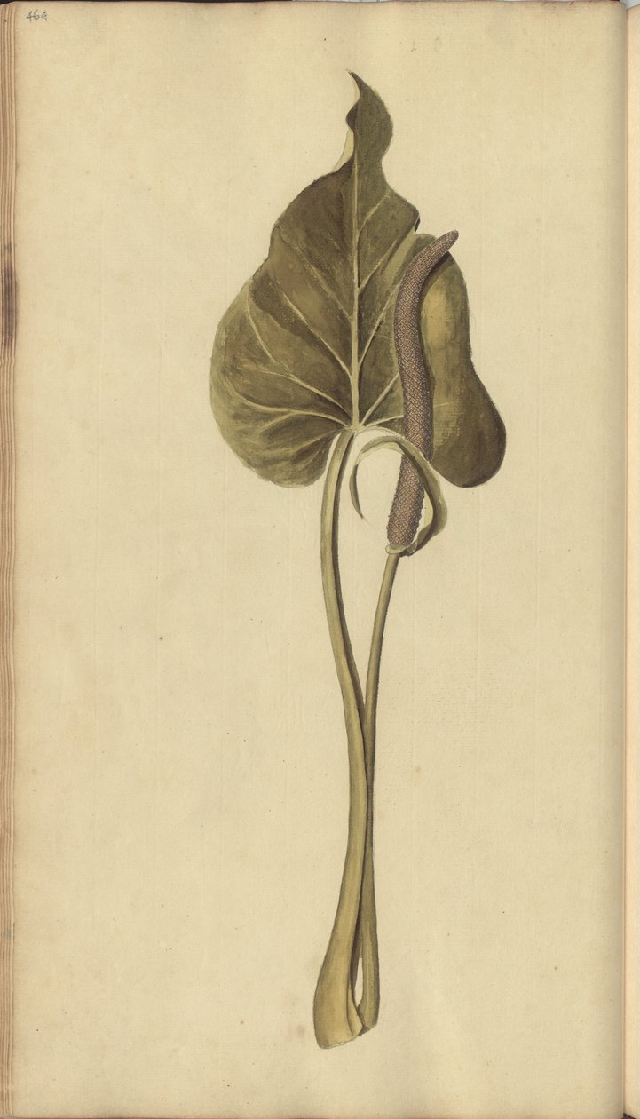 A page from the 