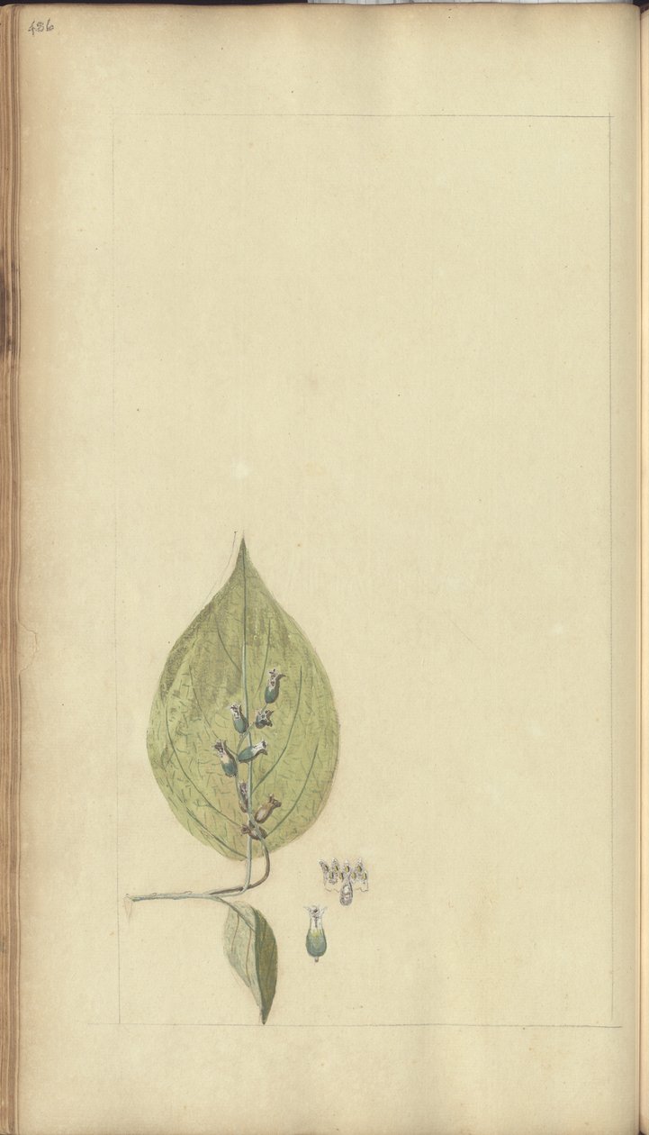 A page from the 