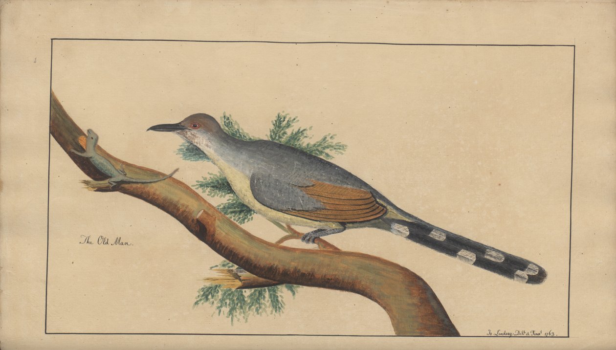 A page from the 
