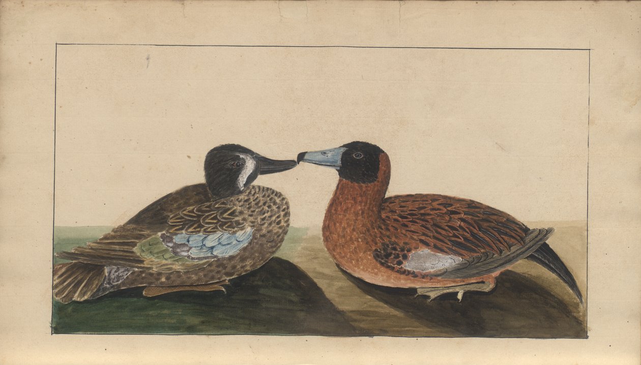 A Page from the 