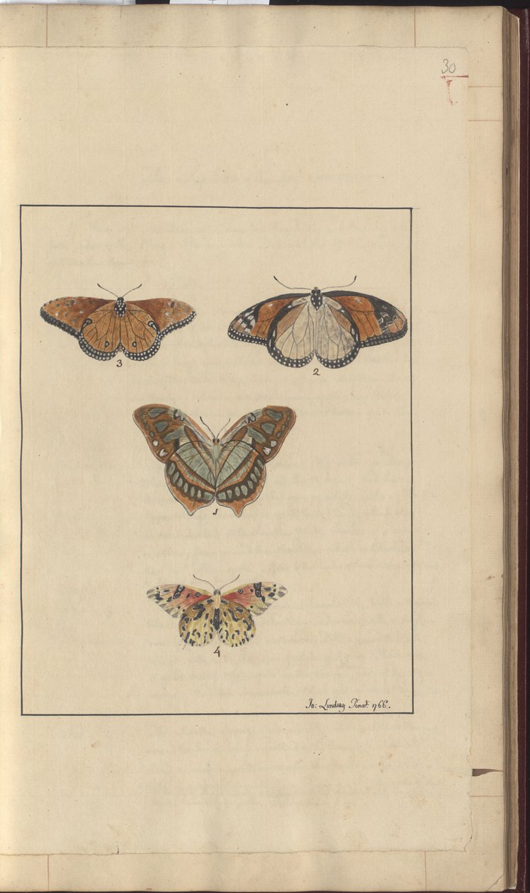 Lindsay Drawings Vol. VI, 30 by John Lindsay