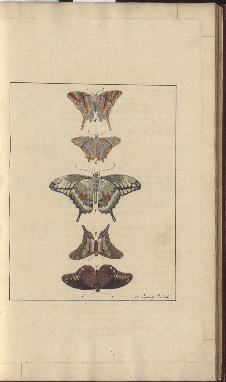 Lindsay Drawings Vol. VI, 32 by John Lindsay