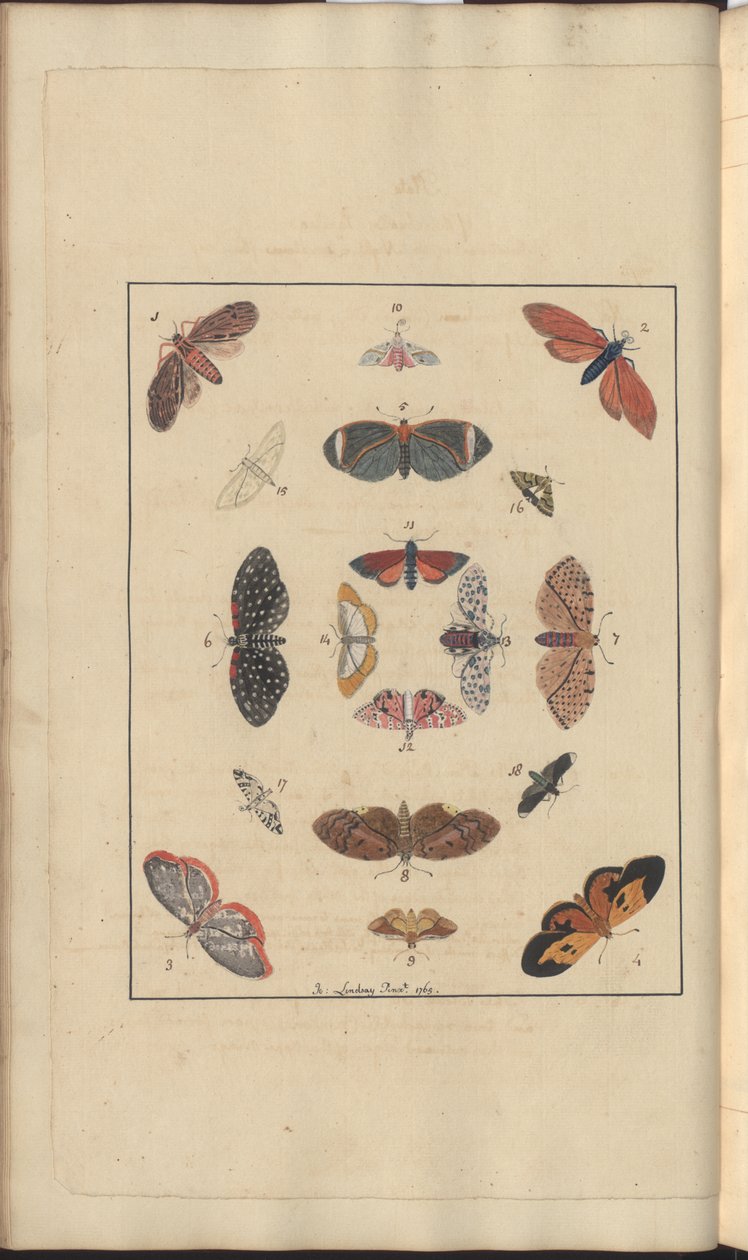 Lindsay Drawings Vol. VI, 63 by John Lindsay
