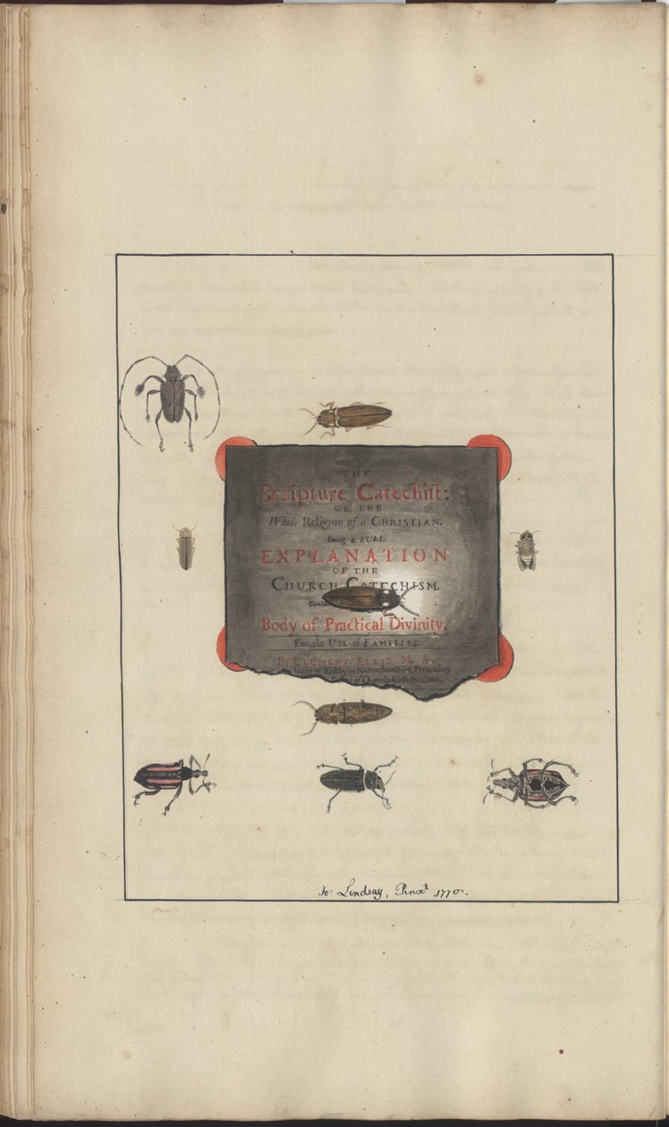 Lindsay Drawings Vol. VI, 95 by John Lindsay
