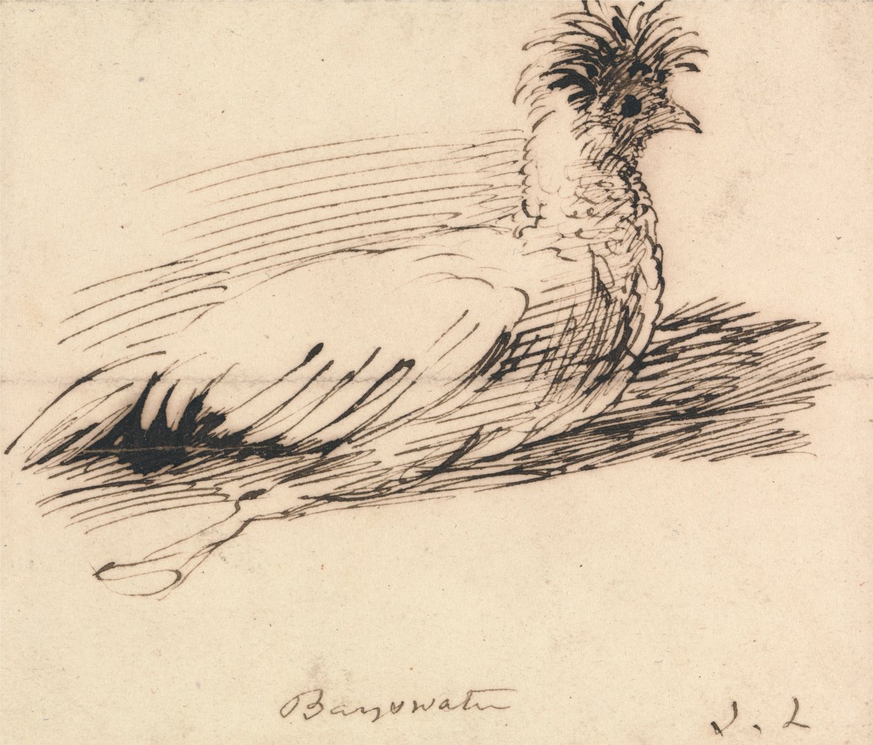 A Hen by John Linnell