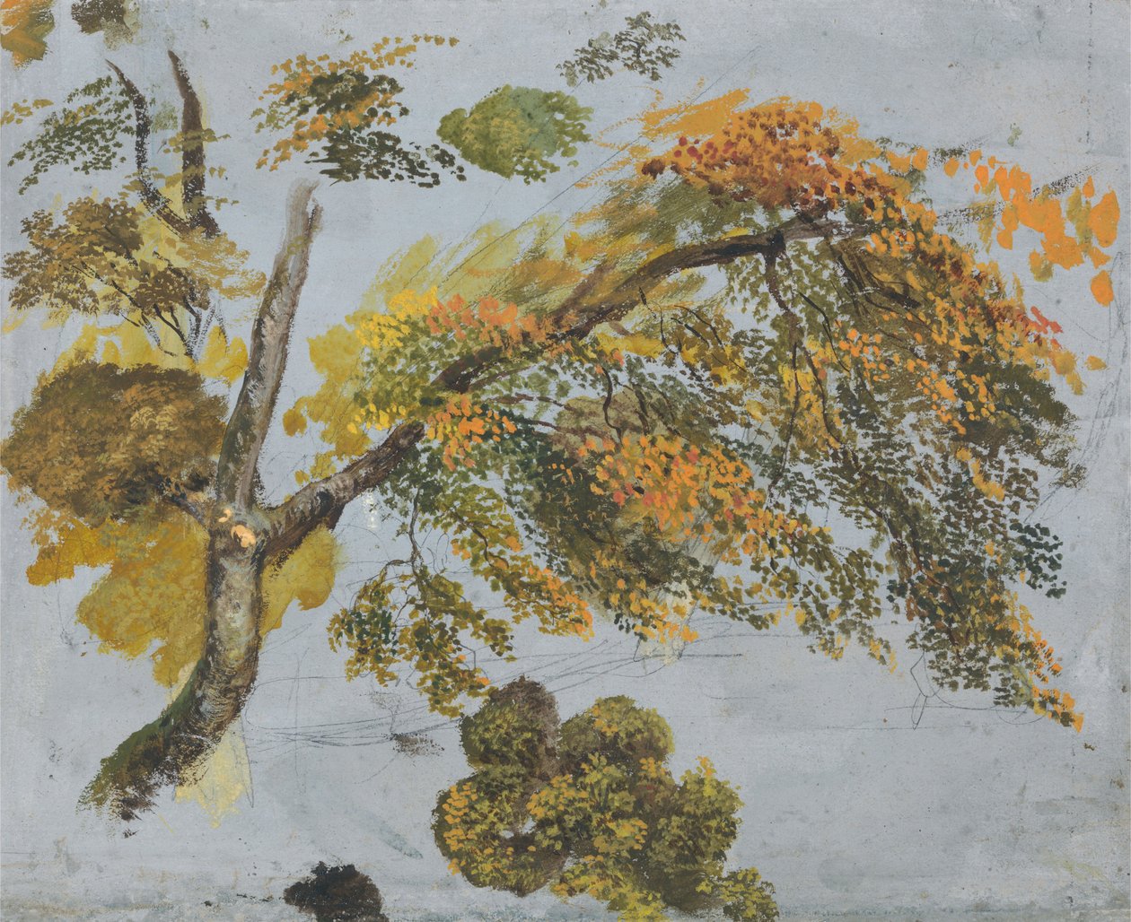 Tree Study (Autumn Foliage) by John Linnell