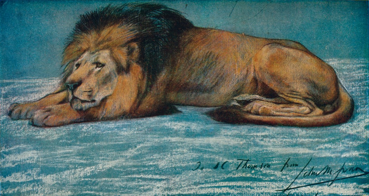 Pastel Study of a Lion, c1900 by John Macallan Swan