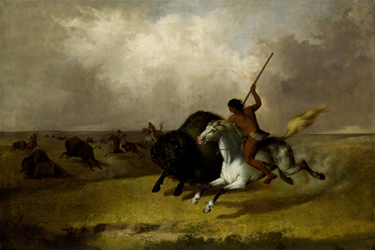 Buffalo Hunt on the Southwestern Prairies by John Mix Stanley