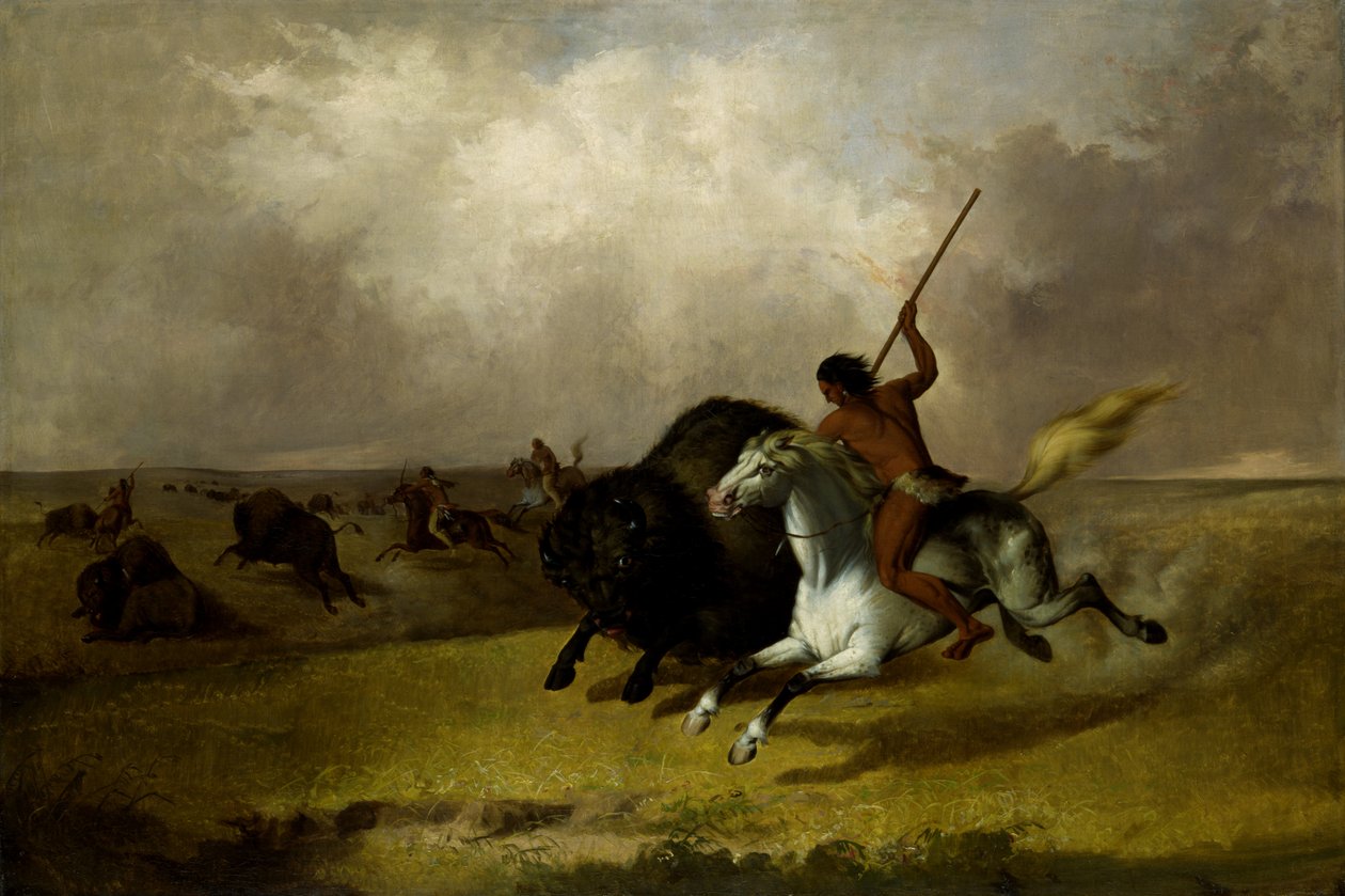 Buffalo Hunt on the Southwestern Prairies by John Mix Stanley