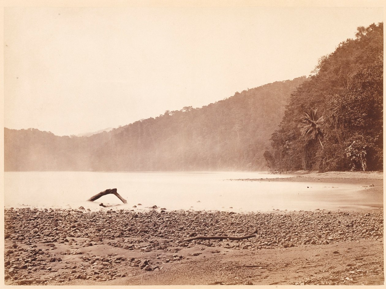 Tropical Scenery: The Terminus of the Proposed Canal, Limon Bay (Darien Expedition) by John Moran
