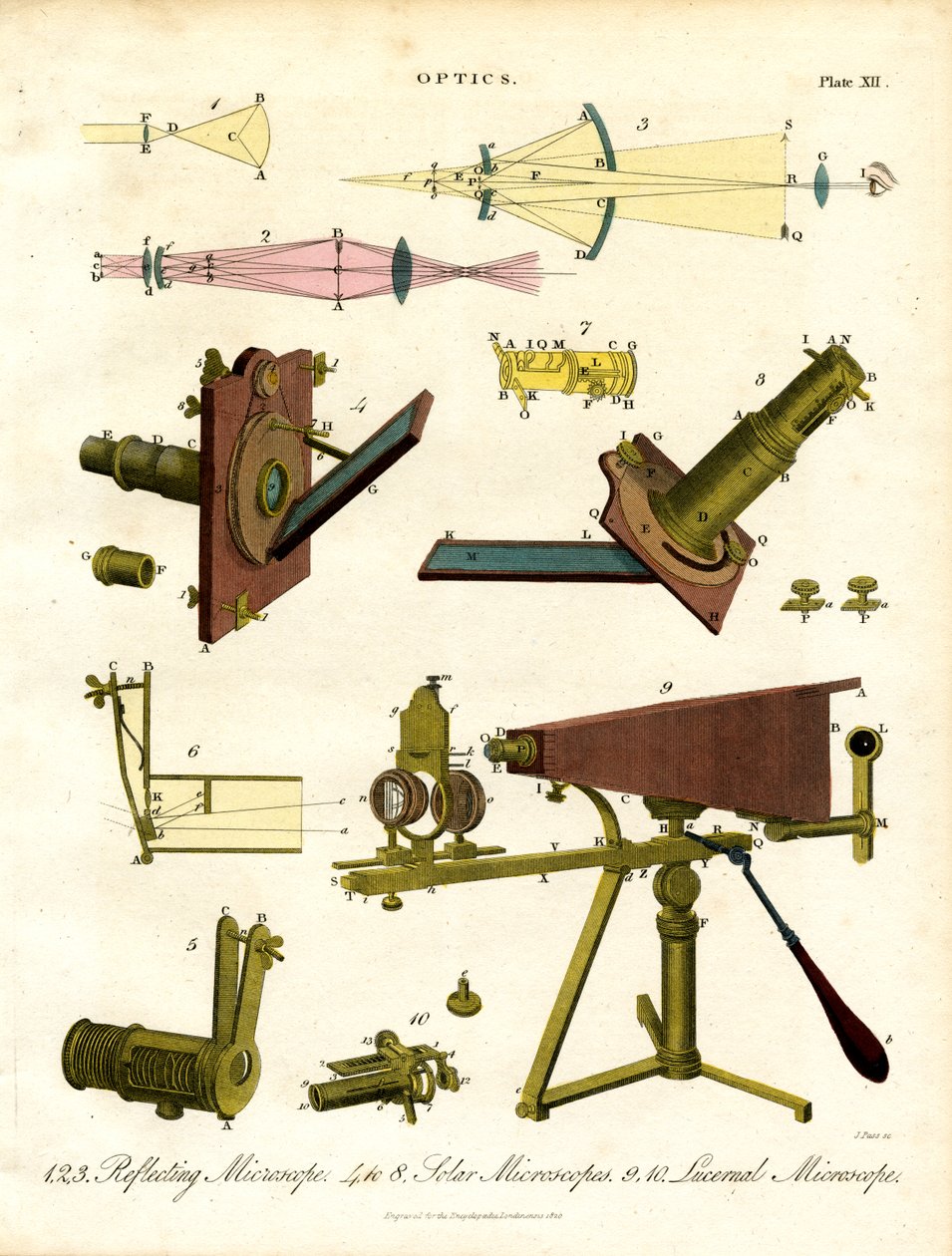 Specialized Microscopes and Optical Principles by John Pass