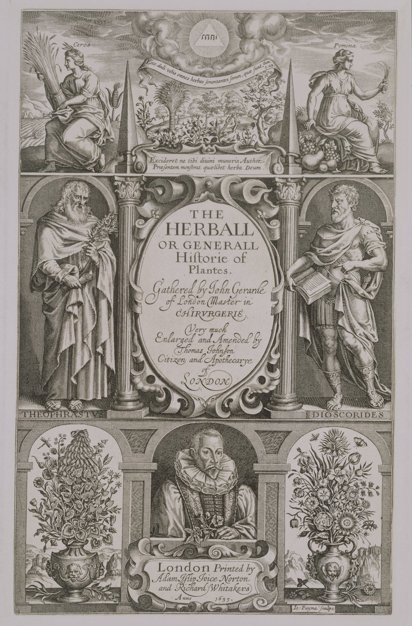 Title Page to the Second Edition of The Herball by John Gerard, 1633 by John Payne