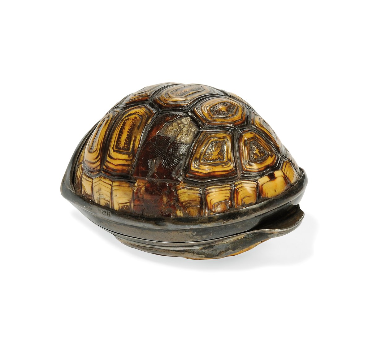 George III Terrapin Snuff Box by John Reily