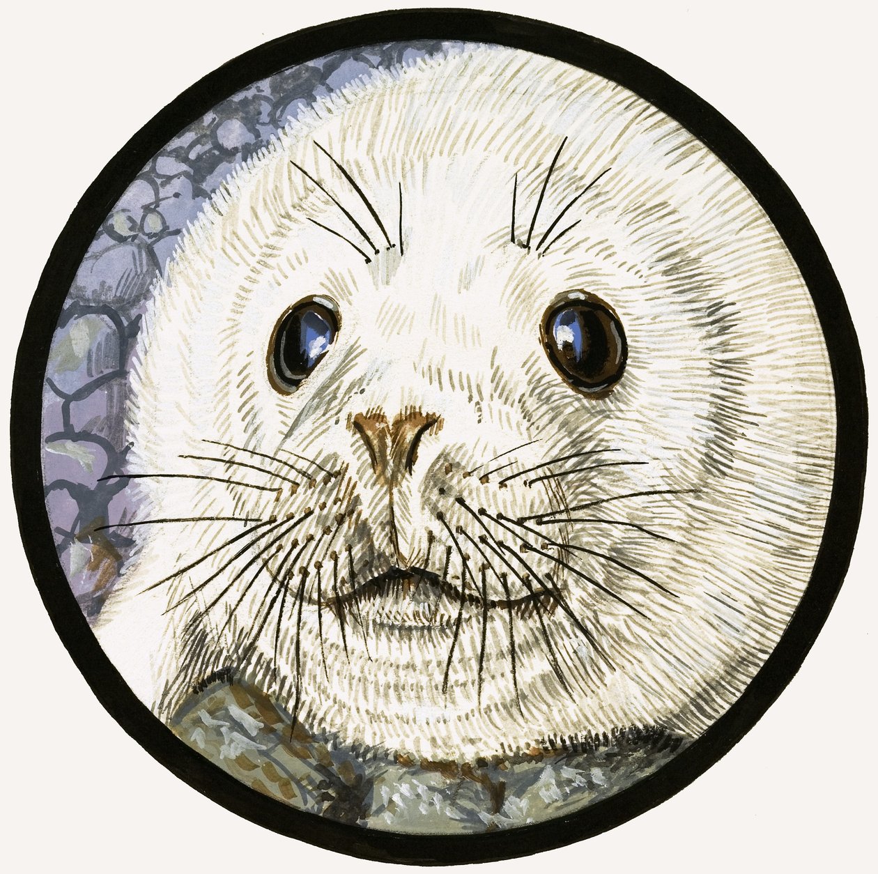 Our Sea Friend The Seal by John Rignall