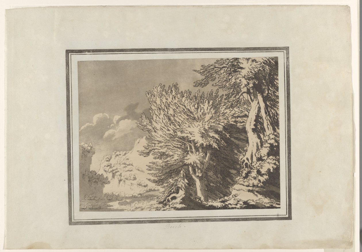 Beech by John Robert Cozens