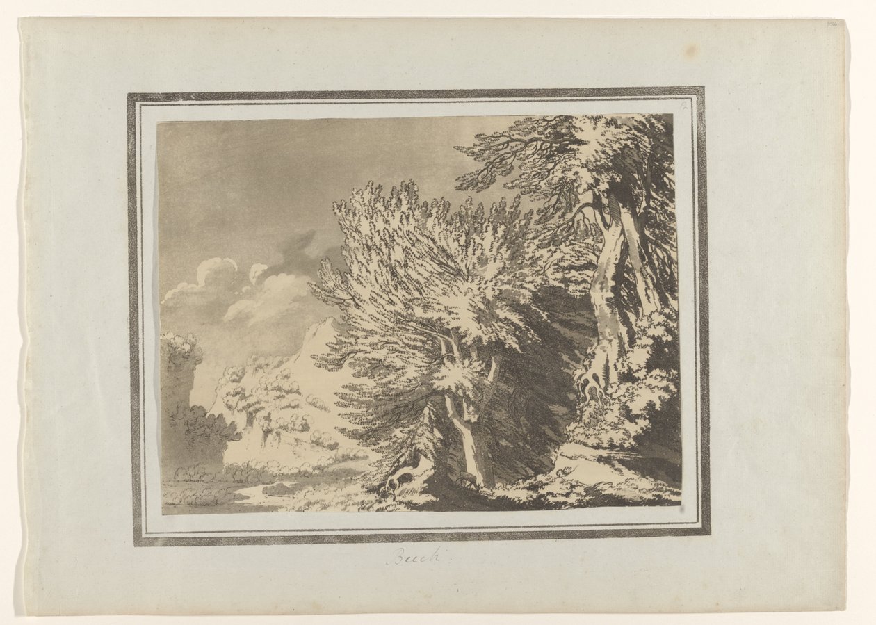 Beech (Delineations of the General Character, Ramifications and Foliage of Forest Trees) by John Robert Cozens