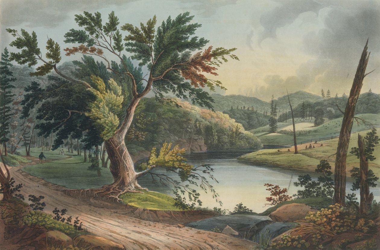 View Near Jessup