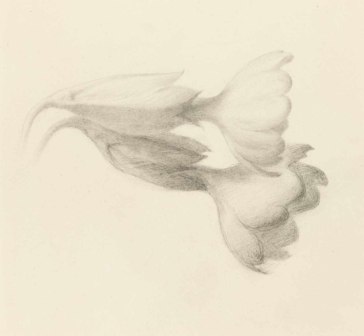 Cowslip Bells, probably 1871 by John Ruskin