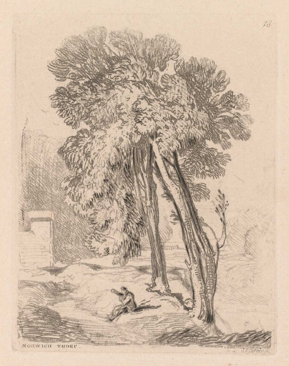 Liber Studiorum: Plate 18, Trees at Norwich Thorp, Norfolk by John Sell Cotman