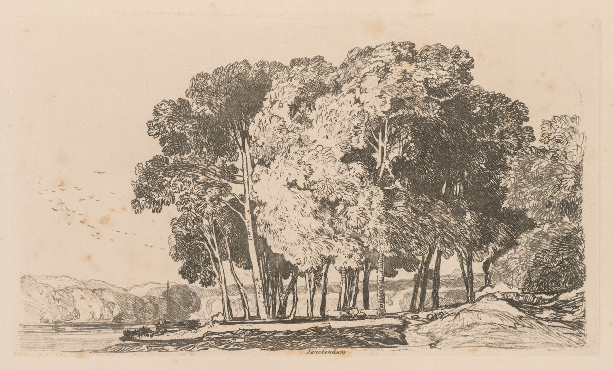 Liber Studiorum: Plate 3, Trees near Twickenham by John Sell Cotman