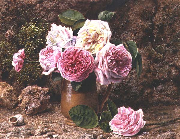 Roses by John Sherrin