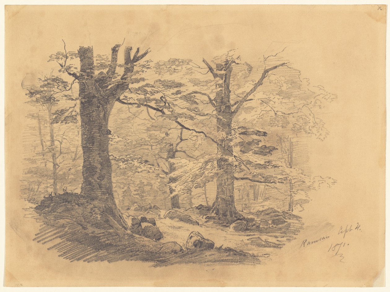 Forest, Ramsau, Germany, 1871 by John Singer Sargent