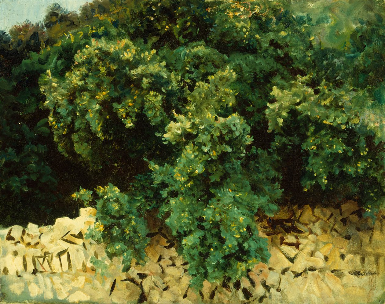 Ilex Wood, Majorca by John Singer Sargent