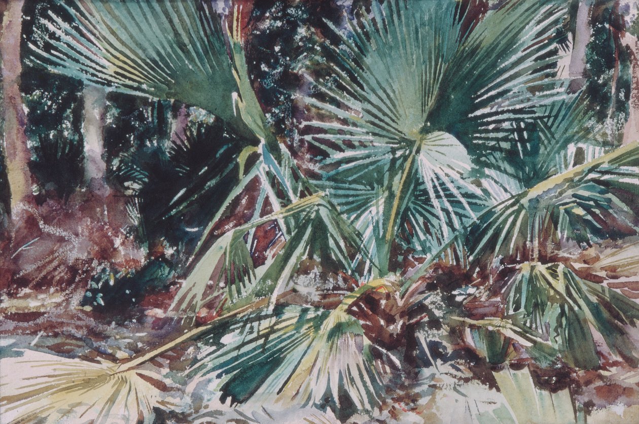 Palmettos by John Singer Sargent
