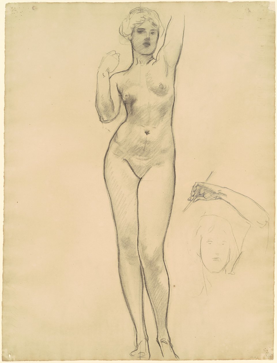 Studies of Aphrodite for 