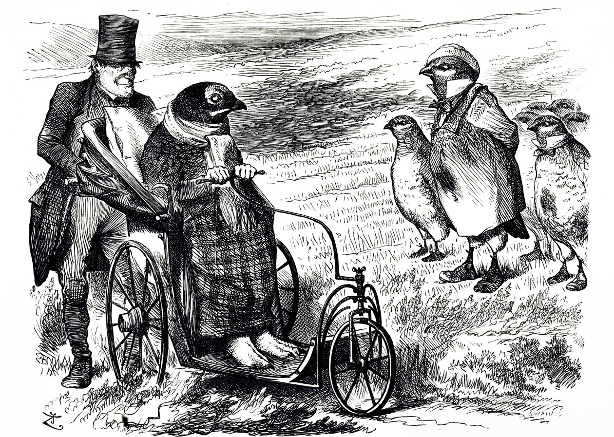 A Cartoon Commenting on the Suspension of Grouse Shooting to Allow the Stock to Rebuild. Illustrated by John Tenniel (1820-1914) an English Illustrator, Graphic Humourist, and Political Cartoonist by John Tenniel