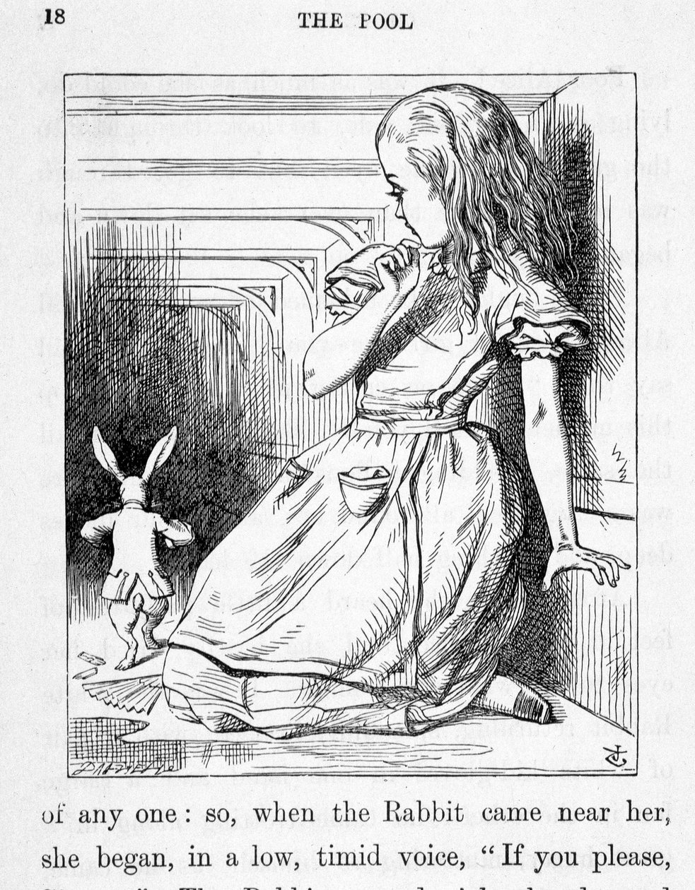 Alice and the rabbit - in 