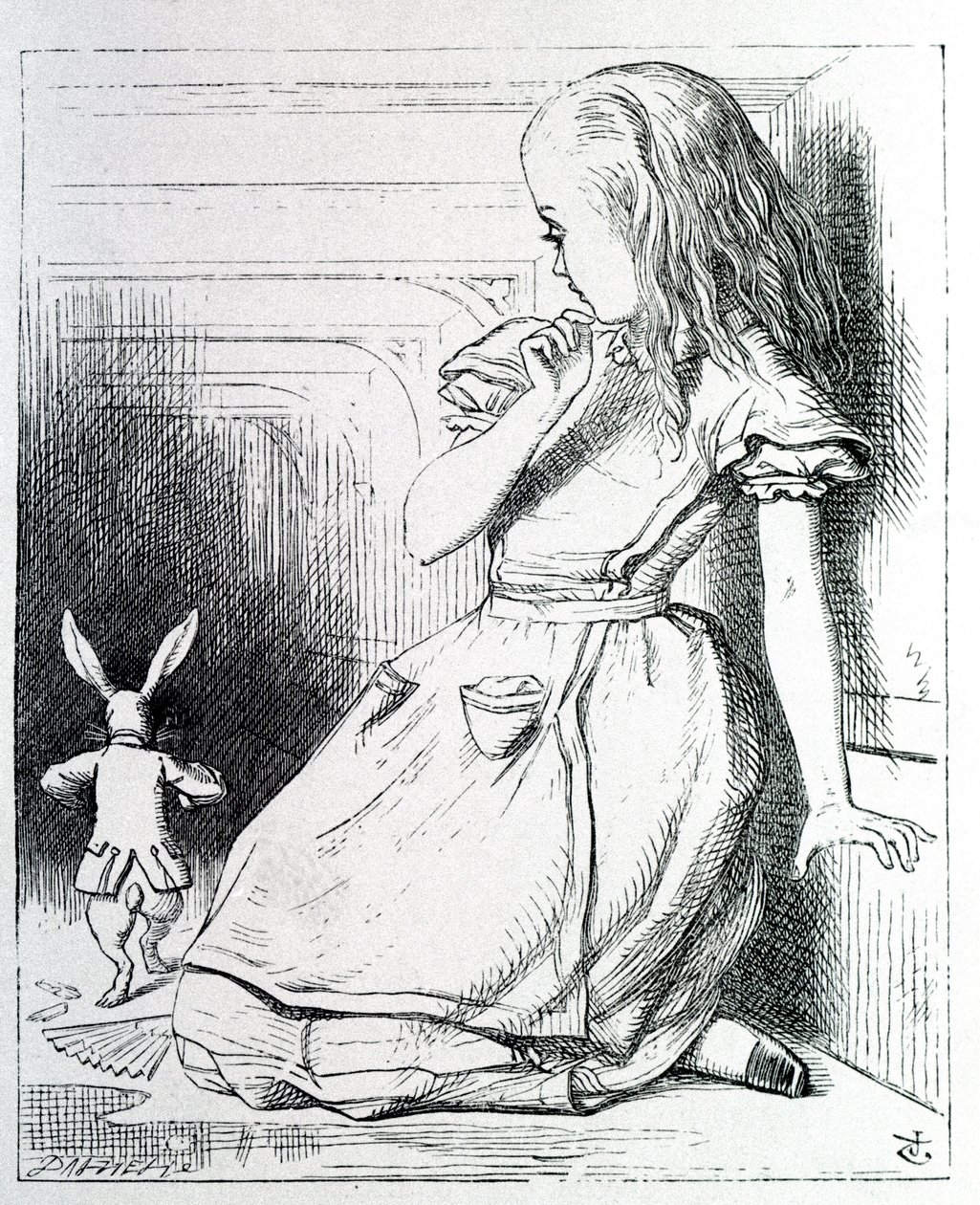Alice and the Rabbit - in 