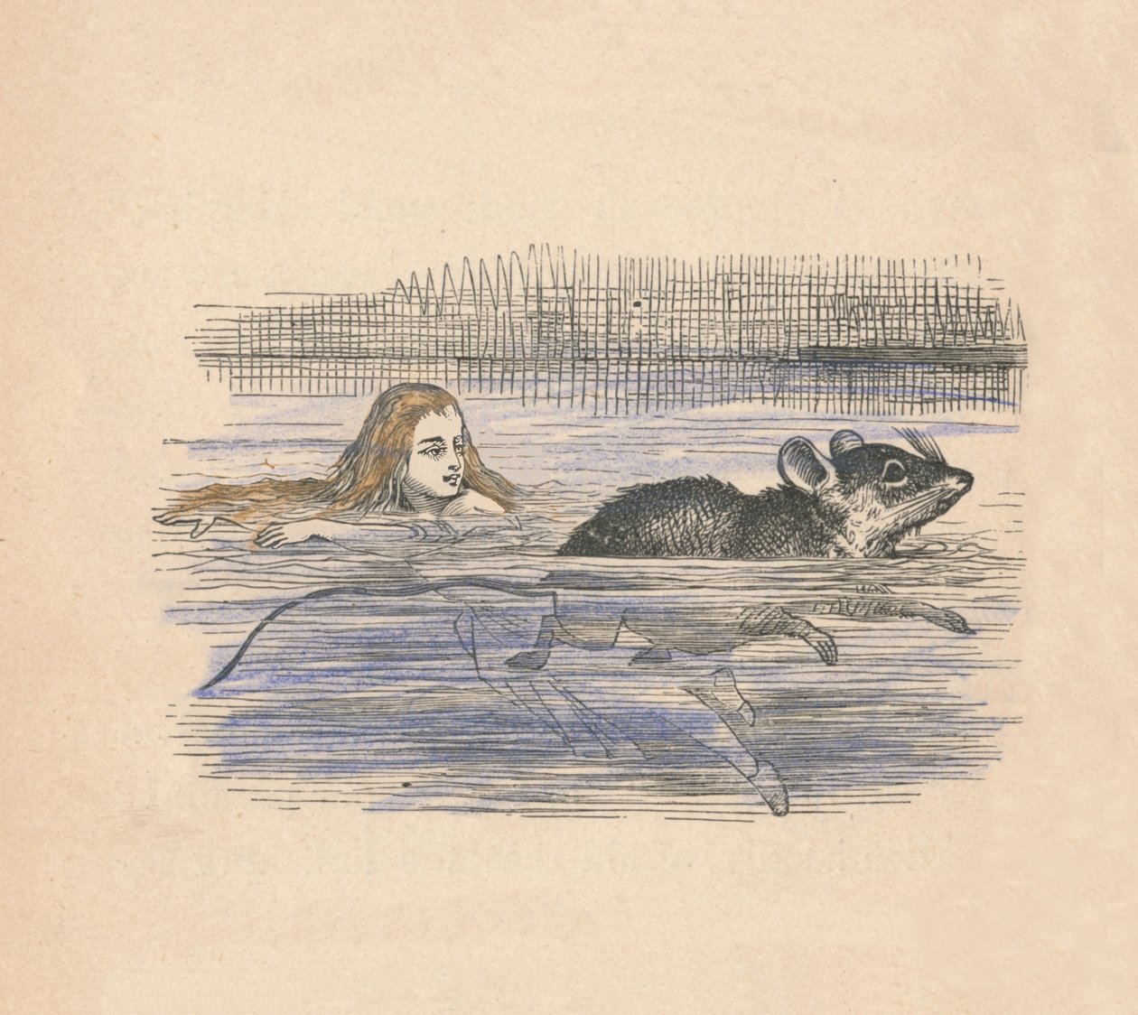 Alice Swimming with a Mouse in a Pool, 1889 by John Tenniel