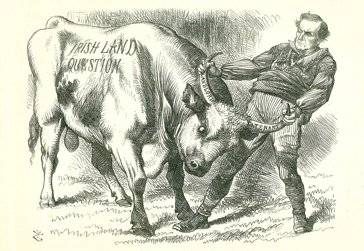 Taking the (Irish) Bull by the Horns: Bill passed by Parliament on 15 February 1870 and received royal assent on 8 July. William Gladstone, Prime Minister, dealing with the issue. John Tenniel cartoon from Punch, London, 26 February 1870. by John Tenniel