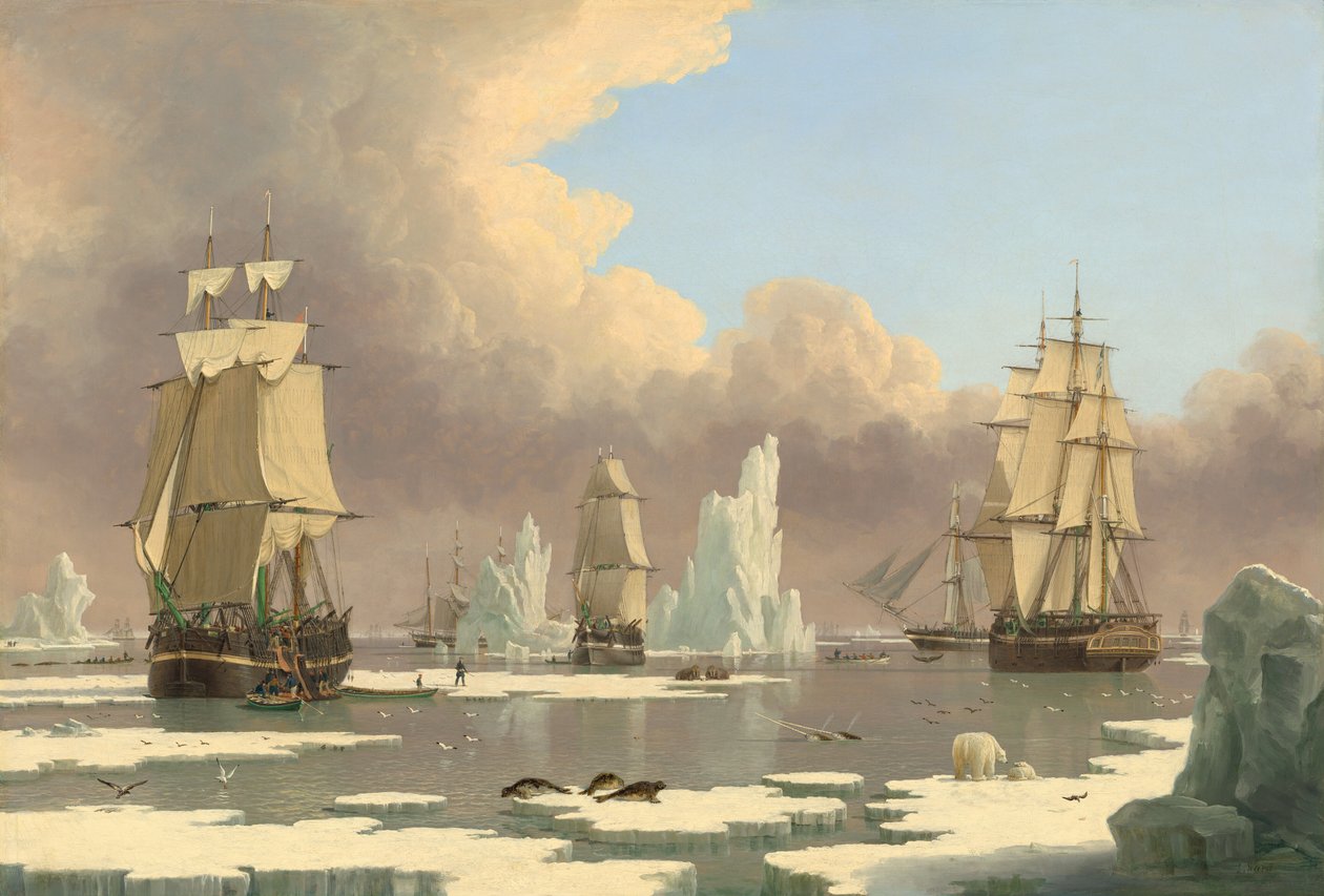 The Northern Whale Fishery: The Swan and Isabella by John Ward I