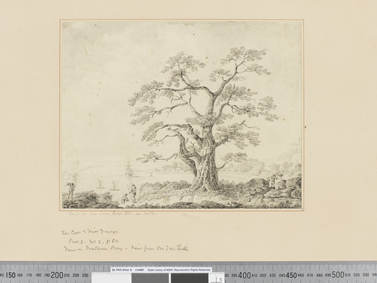 View on Sea Shore, Large Tree in Centre by John Webber