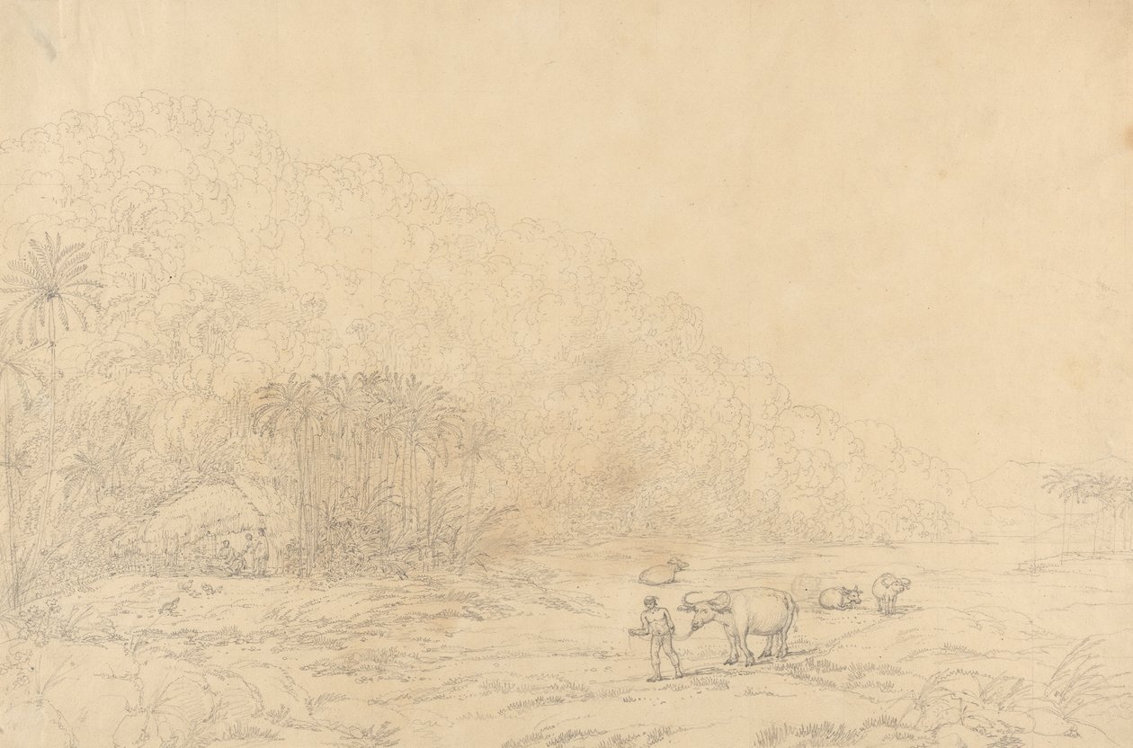 View in the Island of Pulo Condore by John Webber