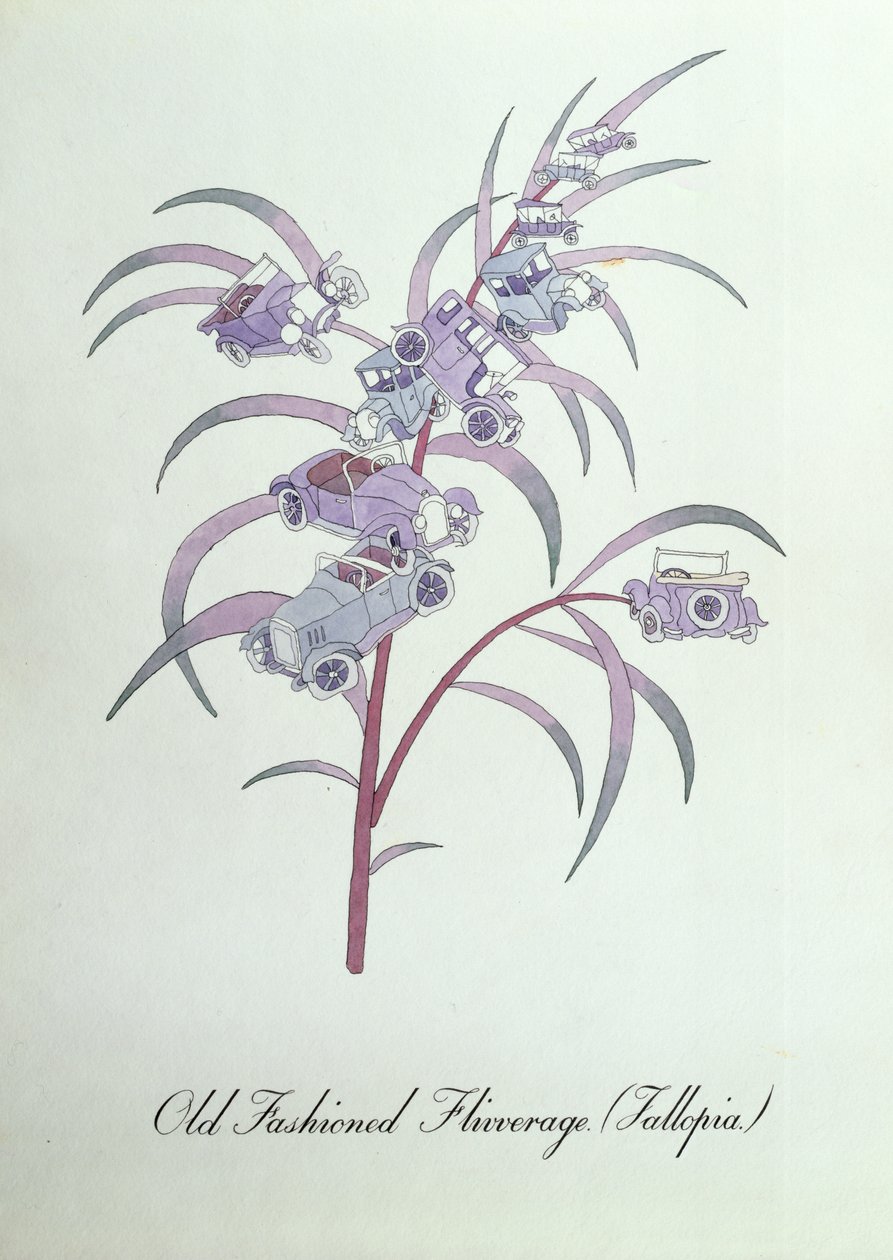Old Fashioned Flivverage (Fallopia), illustration from 