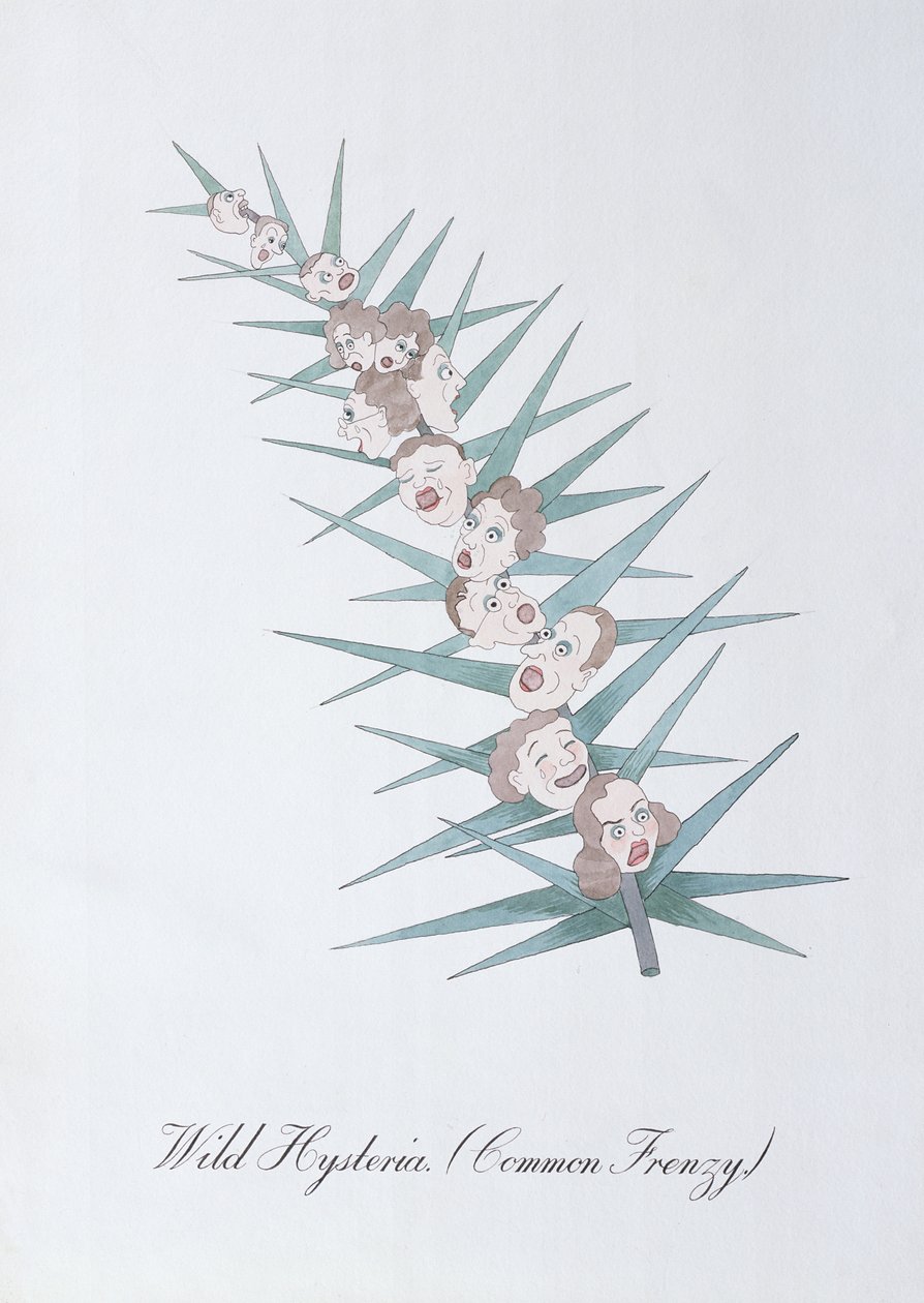 Wild Hysteria (Common Frenzy), Illustration from 