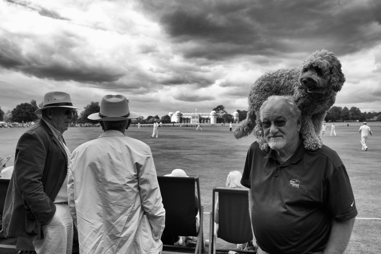 The Goodwood Estate in West Sussex, UK, 2018 by Jon Nicholson