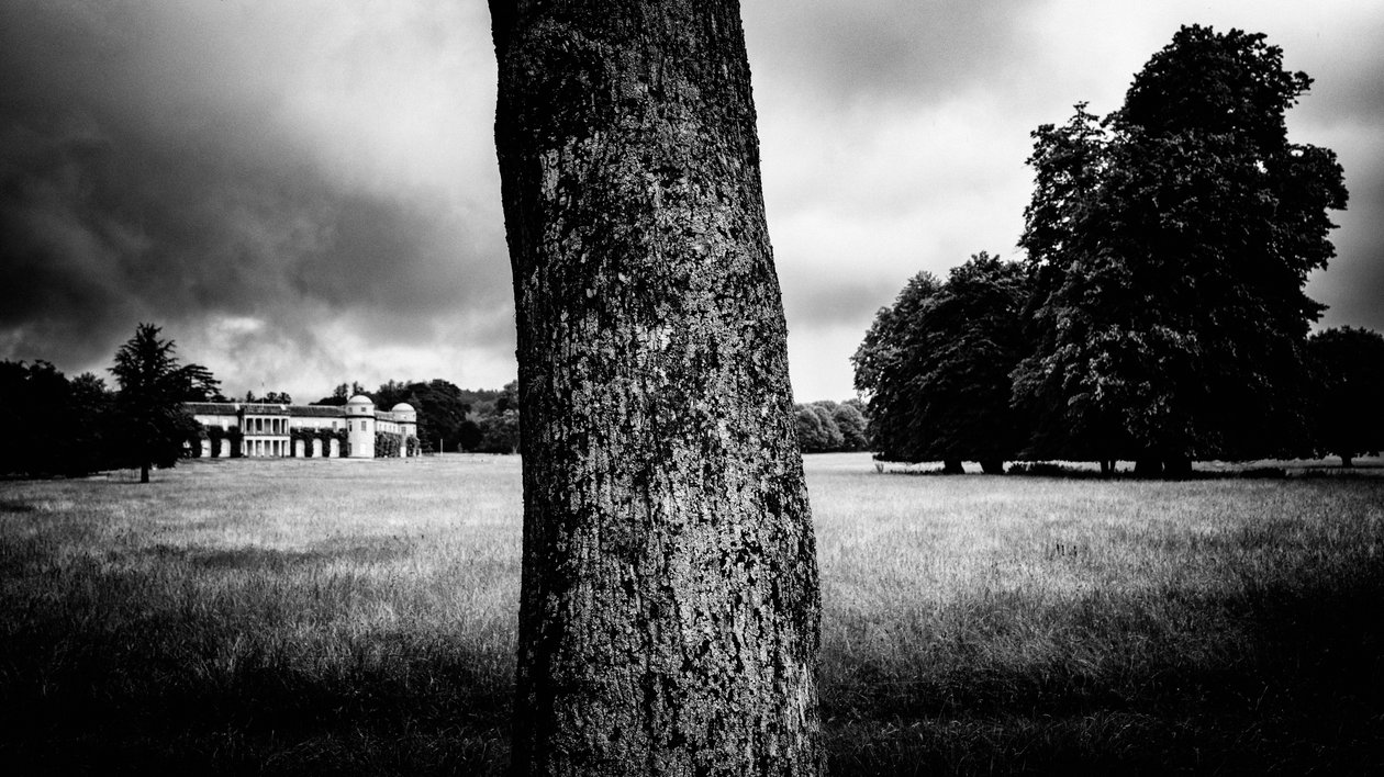 The Goodwood Estate in West Sussex, UK, 2020 by Jon Nicholson