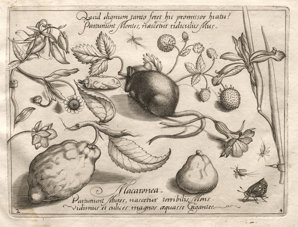 Archetypes and Studies: What can emerge in keeping with such a cavernous promise? (Part IV, plate 2) by Joris Hoefnagel