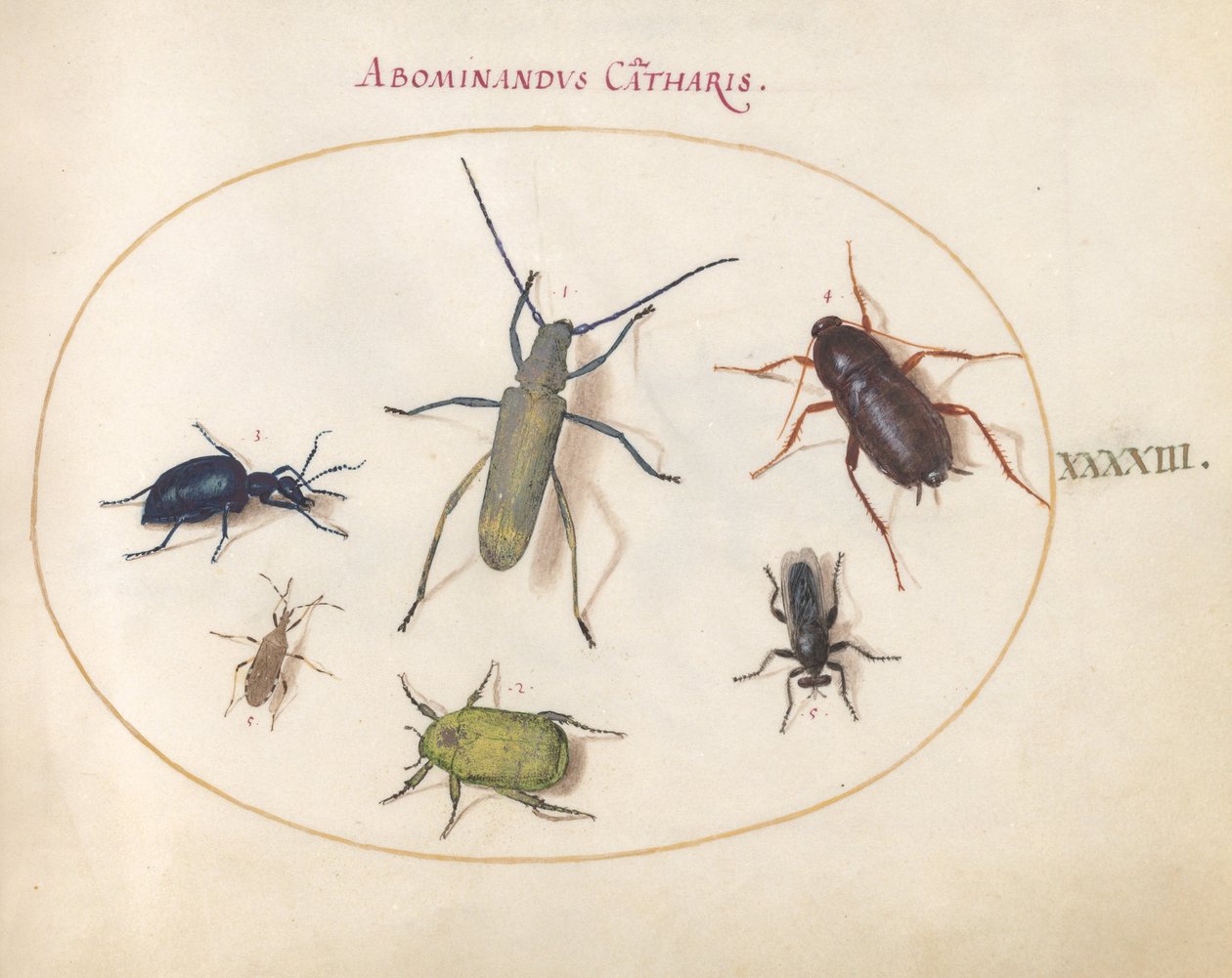 Plate 43: A Golden-Bloomed Gray Longhorn, Tansy Beetle, Cockroach, Leaf-Footed Bug, and Other Insects by Joris Hoefnagel