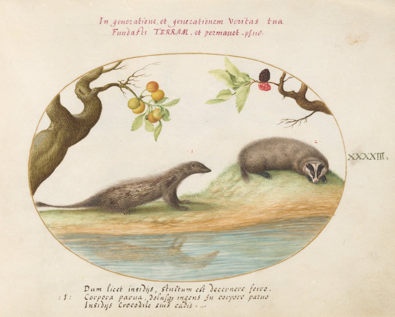 Mongoose and Badger with Fruit Trees by Joris Hoefnagel