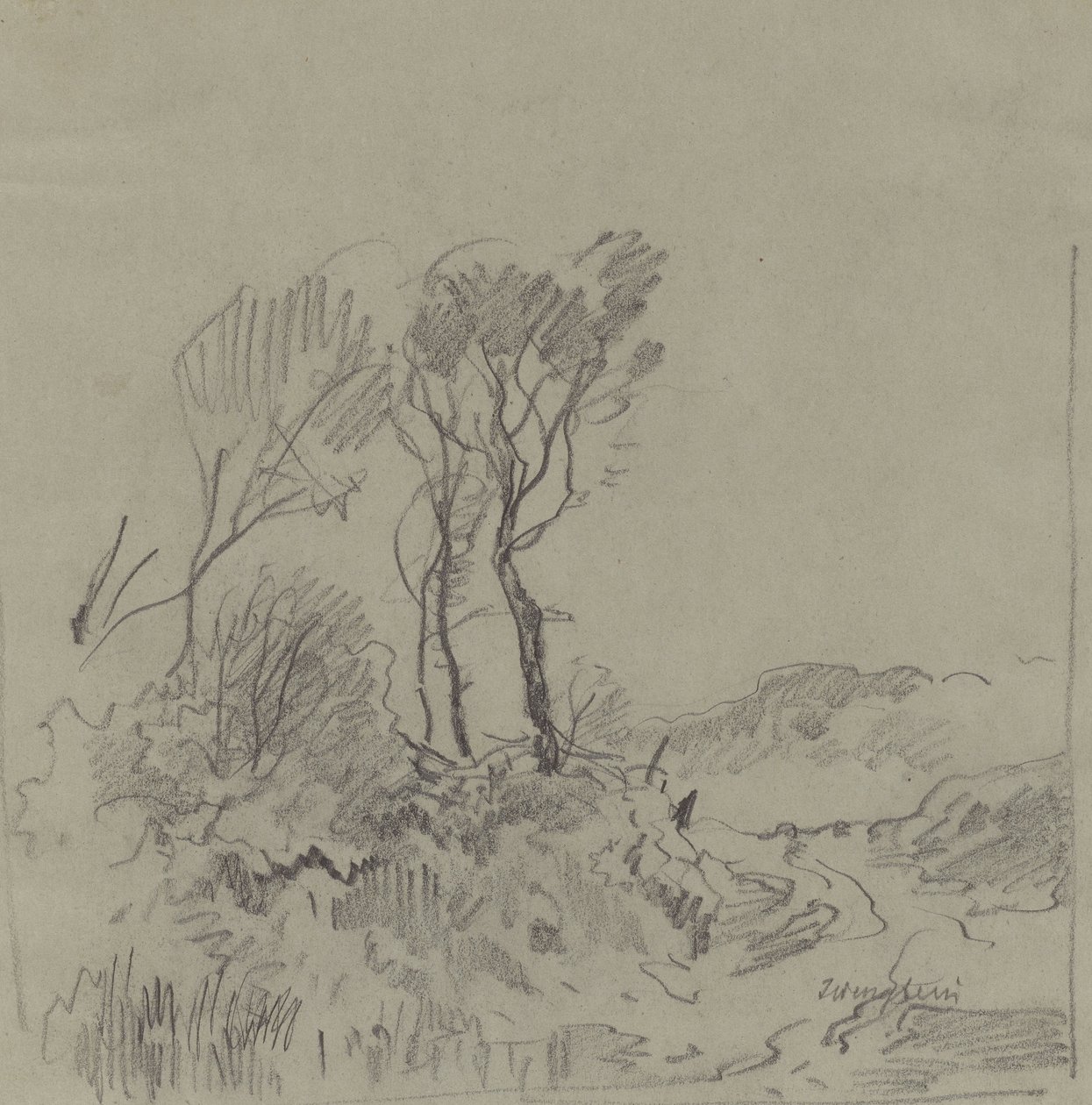 Tree Studies by Josef Wenglein