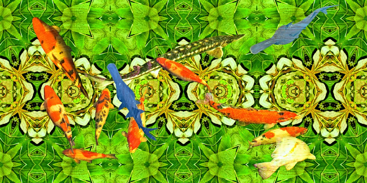 Creatures: Koi Carp Fish Under Water Garden 3 by Josef Johann Michel
