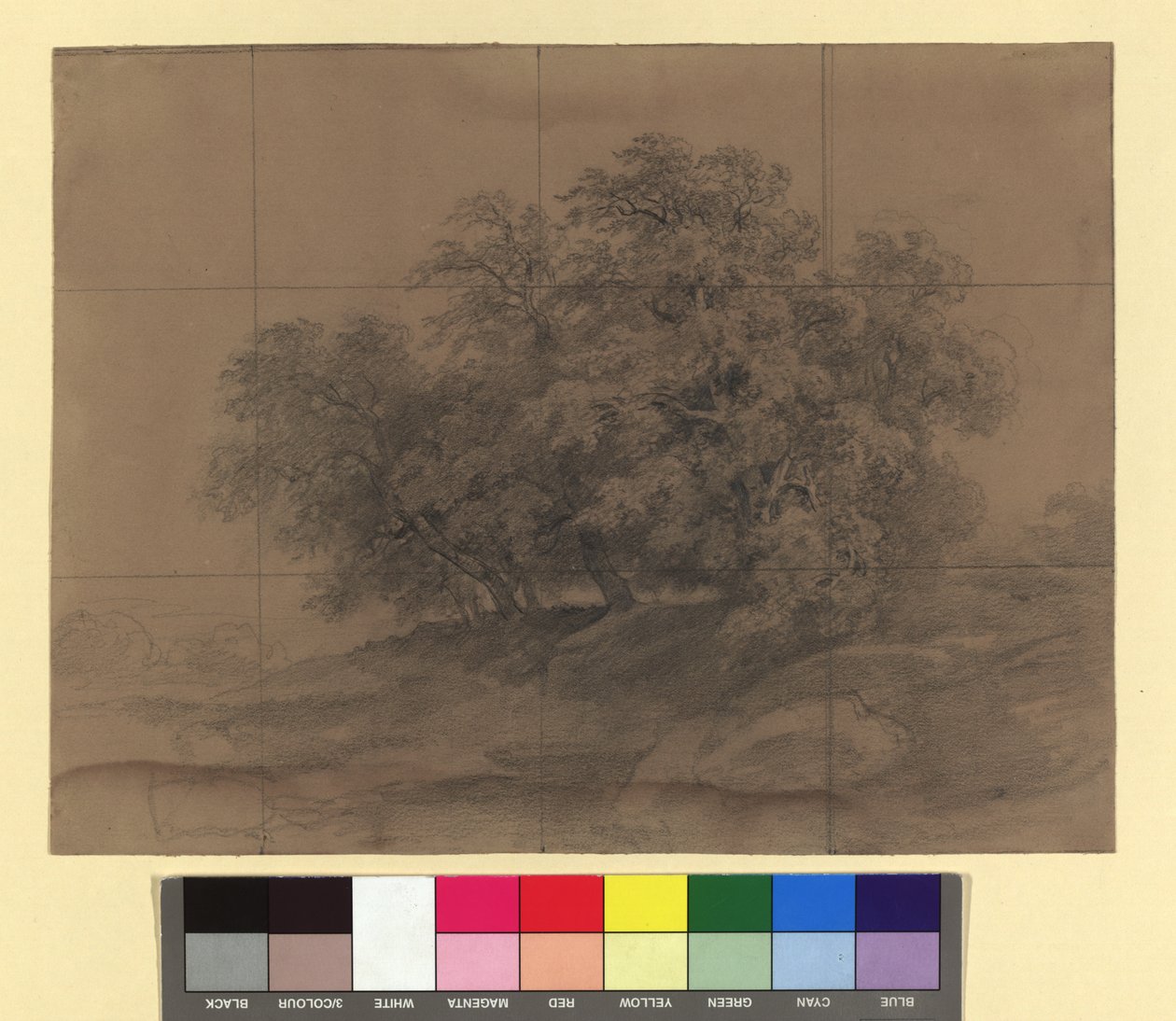 Group of Trees - with Enlargement Grid by Josef Kriehuber