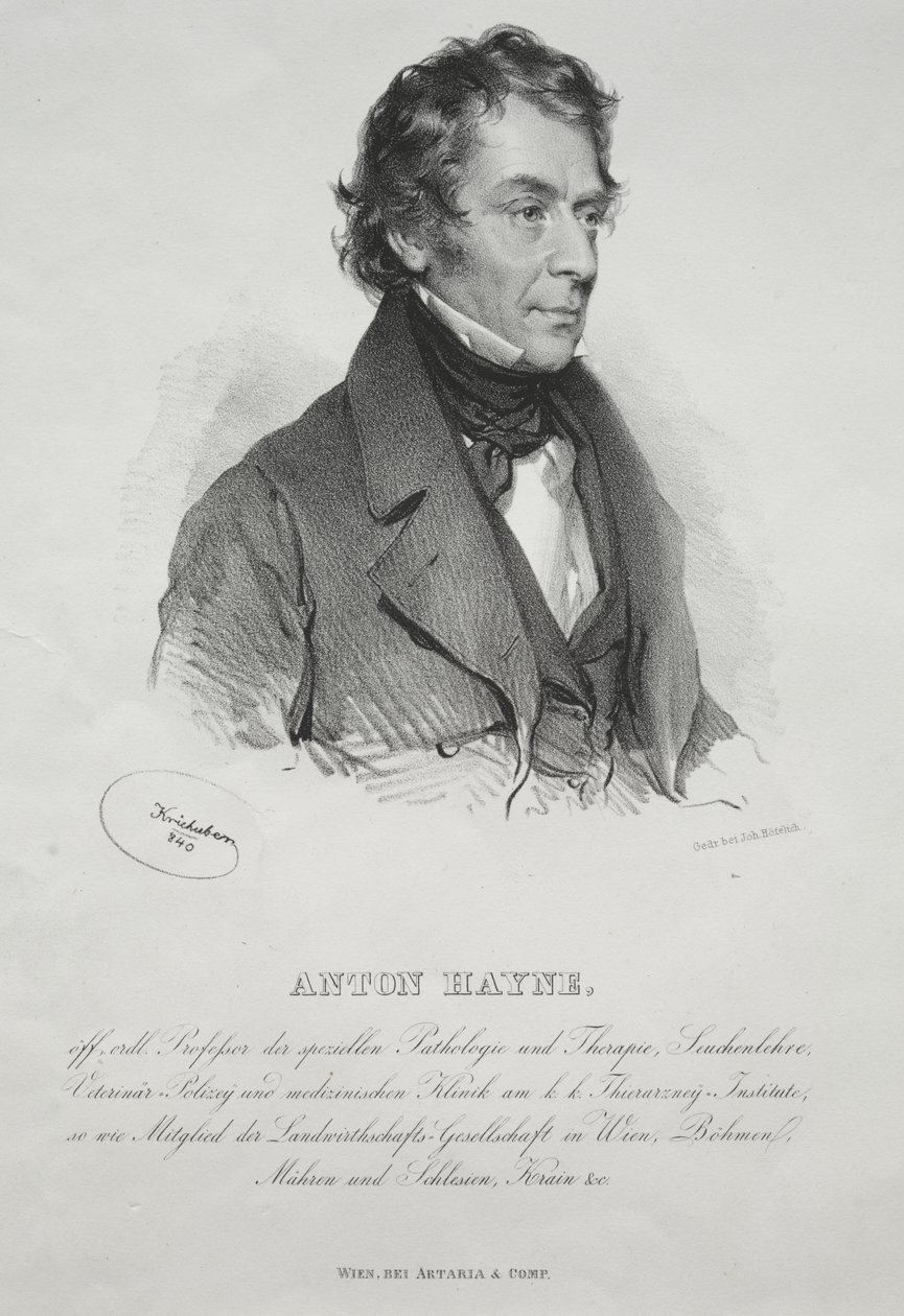Portrait of Dr. Anton Hayne by Josef Kriehuber