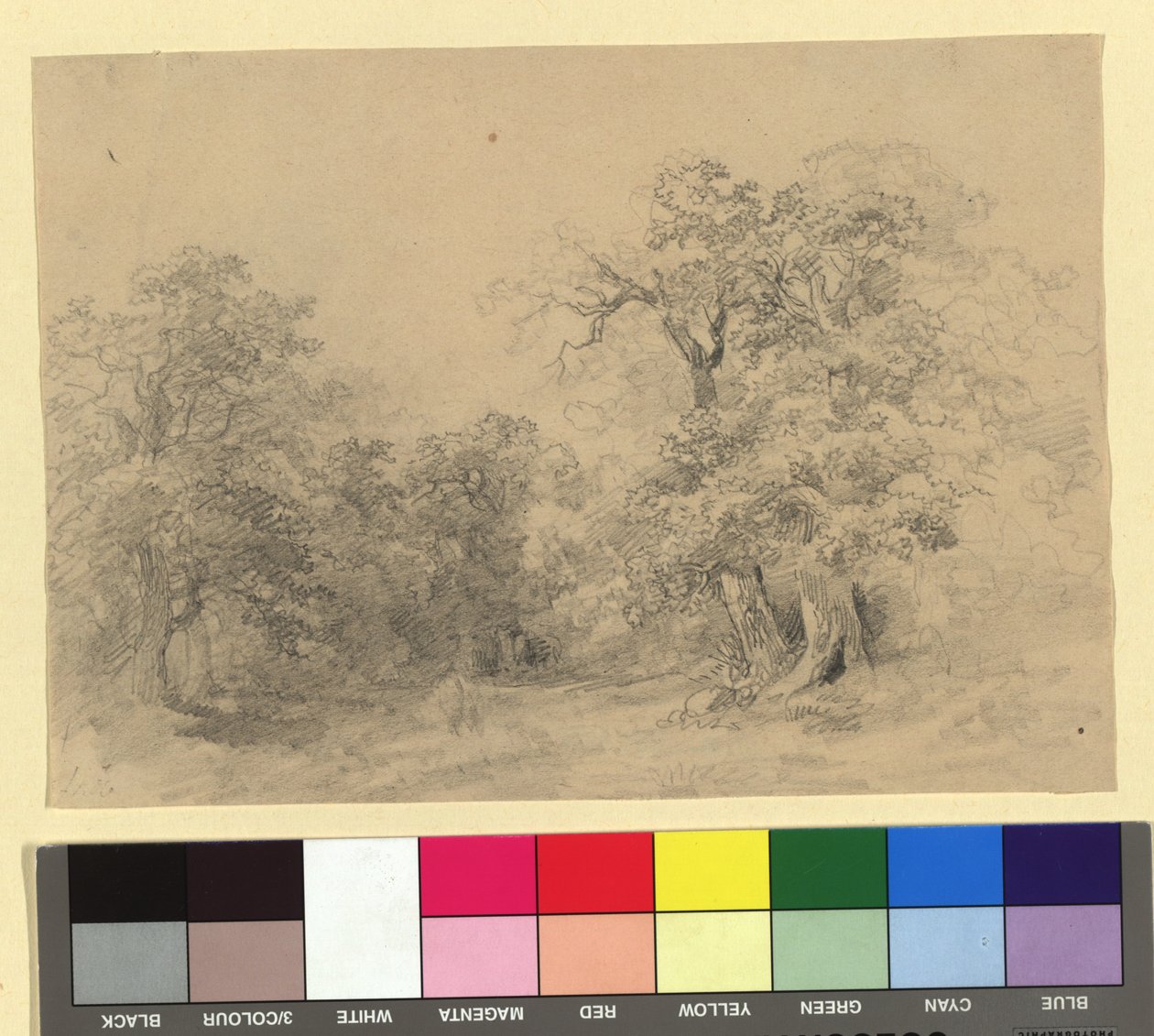 Forest Landscape by Josef Kriehuber