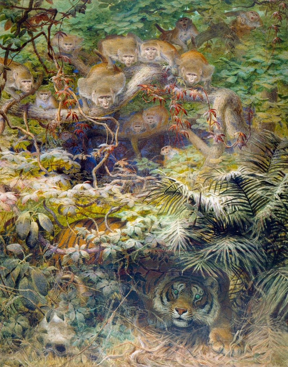 Row in the Jungle, 1863 by Joseph Wolf: Buy fine art prints